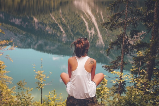 Forest Meditation